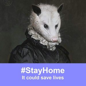 Meet your Posher, Stormi